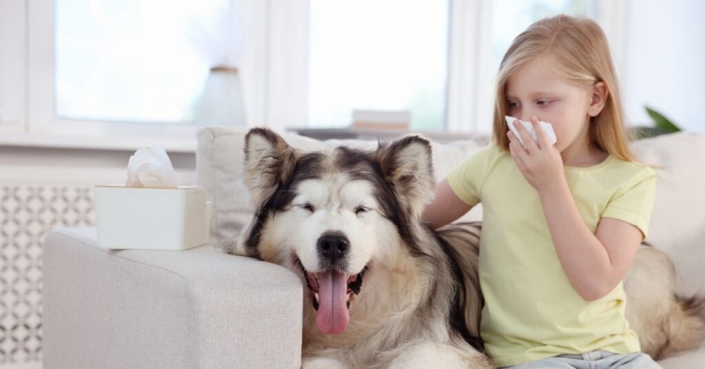 Evde köpek beslemenin siz ve çocuklarınız üzerinde oluşturabileceği zararları ele aldık.